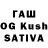 ТГК Wax Rabiga Kunusheva