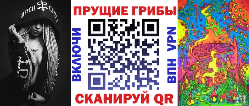 MEGA сайт  Юрьев-Польский  Псилоцибиновые грибы Psilocybe  где можно купить наркотик 